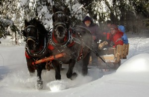 Hohmeyer's partnered with the Paul Smiths College Draft Horse Club to provide sleigh rides this winter.