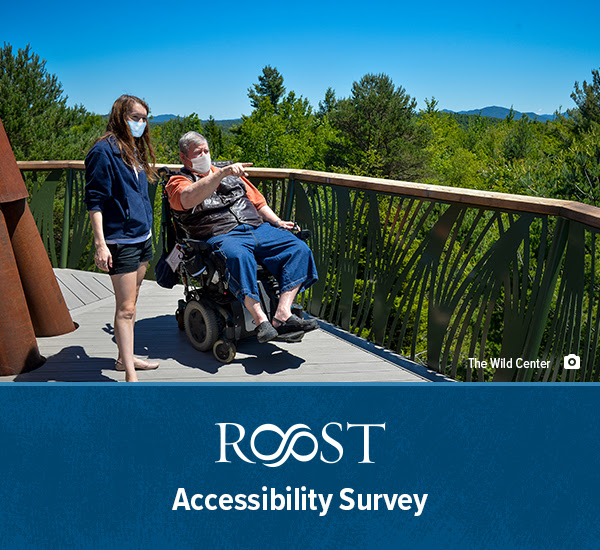 A gentalmen in a wheelchair and a Wild Center staff member enjoy the view from Wild Walk at the Wild Center in Tupper Lake.