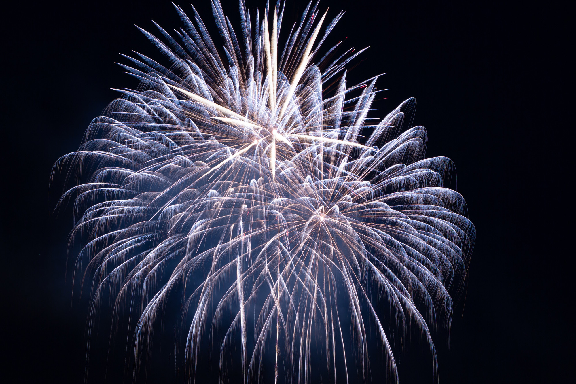 blue and purple firework