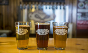 3 beers placed on a bar. The beer is golden, 2 lighter versions and a dark beer